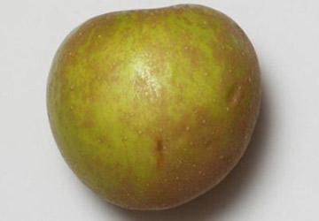 Ledererapfel
